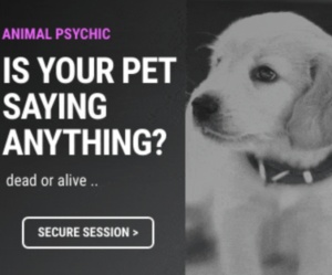 Pet Psychic Reading